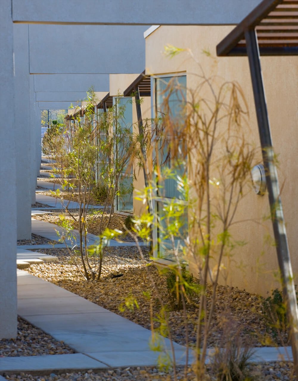 Walkway past private apartment entrances, young shade trees, and steel shade trellises at Lolomas